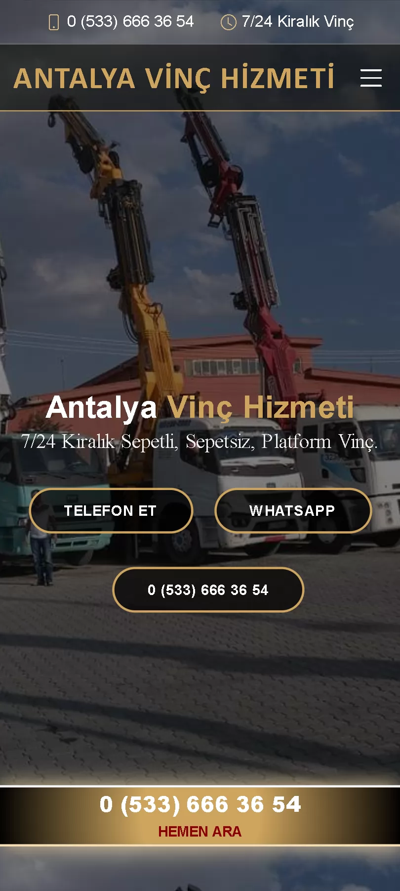 Vinç Kiralama Web Sitesi, Vinç Web Tasarım